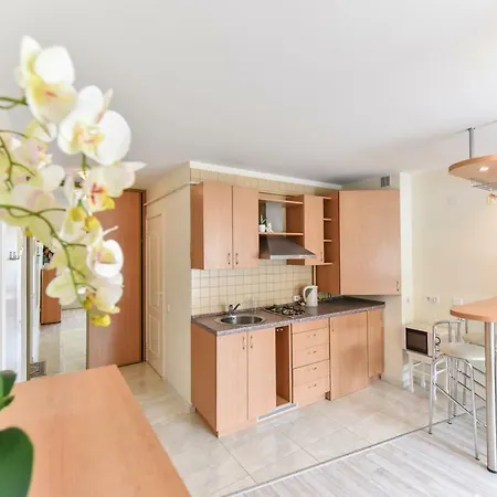 Sviesus Ir Erdvus Butas Su Balkonu Apartment Palanga